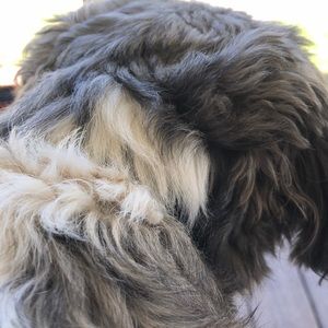 Meet your Posher, Kim